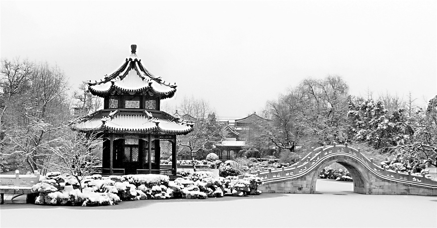 《蓮池瑞雪》  張清